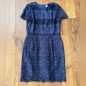 Cremieux Navy Lace Dress size Medium